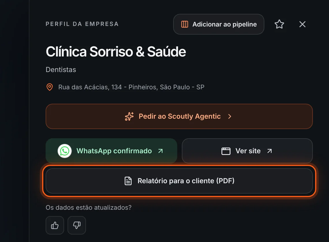 Painel da empresa com o botão Relatório para o cliente (PDF) destacado